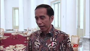 Apresiasi Presiden Joko Widodo untuk Tapal Batas Detikcom
