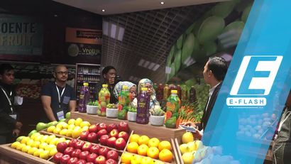 Melihat Pameran Inovasi Pencahayaan di Lighting Application Center