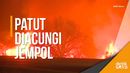 Heroik! Pria Ini Selamatkan Kelinci di Tengah Kebakaran Heroik! Pria Ini Selamatkan Kelinci di Tengah Kebakaran