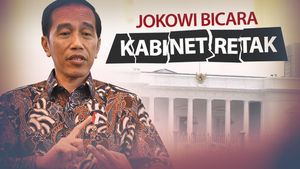 Cerita Jokowi Soal Hubungannya dengan JK