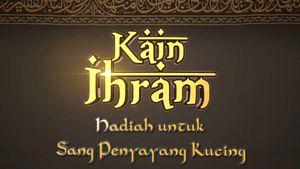 Hadiah Bagi Pensiunan Sang Penyayang Kucing
