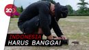 Fotografer Mainan dari Indonesia Siap Pamer Karya di Luar Negeri Fotografer Mainan dari Indonesia Siap Pamer Karya di Luar Negeri