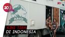Keren! 3 Bule Keliling Dunia dengan Truk Tua Keren! 3 Bule Keliling Dunia dengan Truk Tua