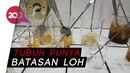 Tak Pernah Sakit Makan Makanan Tak Sehat? Perhatikan Ini! Tak Pernah Sakit Makan Makanan Tak Sehat? Perhatikan Ini!