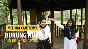 Mengagumi kecantikan Burung Nuri di Jurong Bird Park