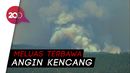 Kebakaran Hutan di Colorado, 2.000 Rumah Dievakuasi Kebakaran Hutan di Colorado, 2.000 Rumah Dievakuasi