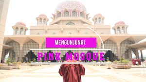 Mengunjungi Pink Mosque di Malaysia