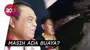 Buaya di Ancol, Wakapolri Pastikan Tak Ganggu Asian Games Buaya di Ancol, Wakapolri Pastikan Tak Ganggu Asian Games