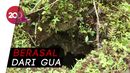 Ini Lokasi Sarang Ular Sanca yang Makan Wanita di Sultra Ini Lokasi Sarang Ular Sanca yang Makan Wanita di Sultra