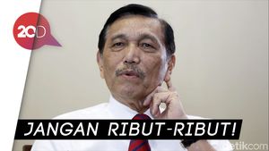 Luhut: Tanggapan Miring soal Divestasi Ancam Saham Freeport