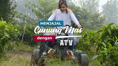 Menjajal Gunung Mas Puncak Dengan Atv