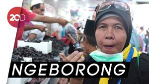 Jemaah Haji Indonesia Serbu Kebun Kurma di Madinah 