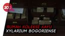Wih! Indonesia Peringkat Pertama Rekor Koleksi Kayu Terbanyak Dunia Wih! Indonesia Peringkat Pertama Rekor Koleksi Kayu Terbanyak Dunia