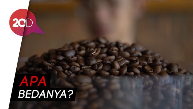 Kenali Bedanya Kopi Arabika Dan Robusta 0610