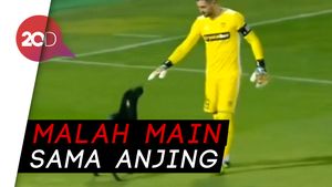 Saat Pemain Lupa Main Bola Gara-gara Anjing
