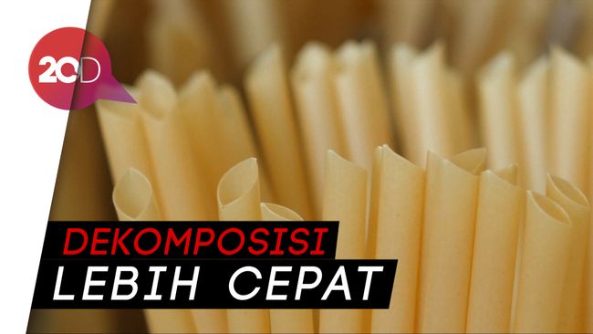  Sedotan  dari  Serat Tanaman Jadi Inovasi Kurangi Pencemaran 