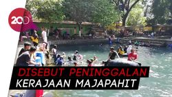 Seru! Renang Bareng Ribuan Ikan Tombro di Pasuruan Seru! Renang Bareng Ribuan Ikan Tombro di Pasuruan