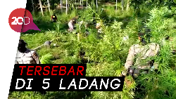 Rahasia Isyana Tetap Langsing Walau Suka Makan Banyak