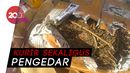 Kurir Sabu Jaringan Lapas Ditangkap, 4,3 Kg Disita Kurir Sabu Jaringan Lapas Ditangkap, 4,3 Kg Disita