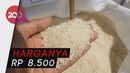 Jaga Stabilitas Harga, Beras Jenis Medium Diluncurkan Jaga Stabilitas Harga, Beras Jenis Medium Diluncurkan