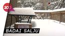 Amerika Serikat Tertimbun Salju Tebal Amerika Serikat Tertimbun Salju Tebal