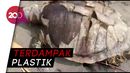 Setelah Paus, Giliran Penyu Mati Gegara Sampah Plastik Setelah Paus, Giliran Penyu Mati Gegara Sampah Plastik