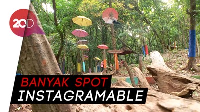 Indahnya Wisata Alam Di Balik Hutan Pandeglang