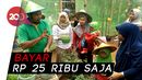 Kampung Gagot di Banjarnegara hadirkan Wisata Edukasi Unik Kampung Gagot di Banjarnegara hadirkan Wisata Edukasi Unik