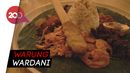 Nasi Campur Legendaris Bali Ini Kini Hadir di Jakarta Nasi Campur Legendaris Bali Ini Kini Hadir di Jakarta