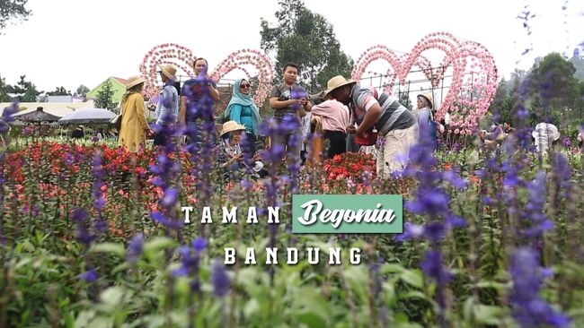 Taman Begonia, Bandung