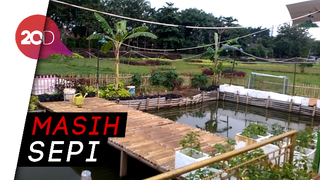  Banyak  Warga Belum Tahu ada Taman Kupu  kupu  Cipinang Melayu