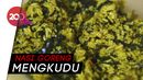 Kuliner Betawi yang Kaya Khasiat: Nasi Goreng Mengkudu Kuliner Betawi yang Kaya Khasiat: Nasi Goreng Mengkudu