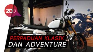 Triumph Scrambler 1200 XE, Motor Rp 600 Jutaan Mendarat di RI