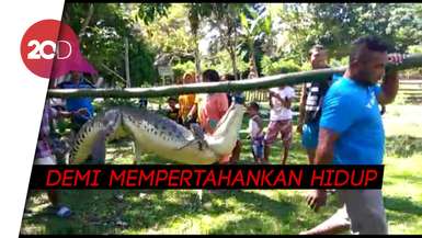 DetikNews - Berita hari ini di Indonesia dan Internasional