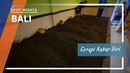 Terapi Kubur Diri dalam campuran Serbuk Kayu, Rempah dan Tanaman Herbal Pilihan di Bali Terapi Kubur Diri dalam campuran Serbuk Kayu, Rempah dan Tanaman Herbal Pilihan di Bali