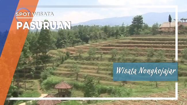 Mengunjungi Obyek Wisata Nongkojajar di Pasuruan
