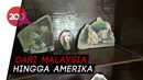 Kisah Putut Sang Pelukis Batu, Karyanya Terjual ke Mancanegara Kisah Putut Sang Pelukis Batu, Karyanya Terjual ke Mancanegara
