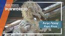 Karya Patung dari Kayu Nissan, Purworejo Karya Patung dari Kayu Nissan, Purworejo