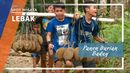 Panen Durian Baduy, Lebak Banten Panen Durian Baduy, Lebak Banten
