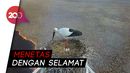 Tengah Bertelur, Seekor Bangau Terjebak di Kebakaran Hutan Tengah Bertelur, Seekor Bangau Terjebak di Kebakaran Hutan