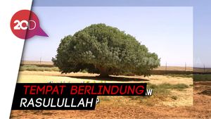 Melihat Sahabat Rasulullah yang Masih Hidup Sampai Sekarang