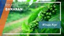 Ragam Wisata Kopi di Desa Kopi Banaran Ragam Wisata Kopi di Desa Kopi Banaran