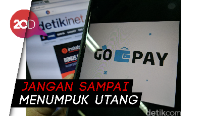 Bijak Menggunakan Fitur Pay Later