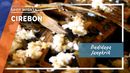 Budidaya Jangkrik di Cirebon Budidaya Jangkrik di Cirebon