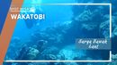 Wakatobi Surga Bawah Laut Indonesia Wakatobi Surga Bawah Laut Indonesia