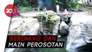 Seru! Berkunjung ke Tempat Bermain Habibie Waktu Kecil Seru! Berkunjung ke Tempat Bermain Habibie Waktu Kecil