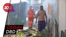 Cegah Penularan DBD, Puskesmas di Polman Lakukan Pengasapan Cegah Penularan DBD, Puskesmas di Polman Lakukan Pengasapan