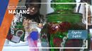 Toples Lukis Malang Toples Lukis Malang