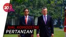 Jokowi Dorong Komoditas Buah Indonesia Masuk Argentina Jokowi Dorong Komoditas Buah Indonesia Masuk Argentina