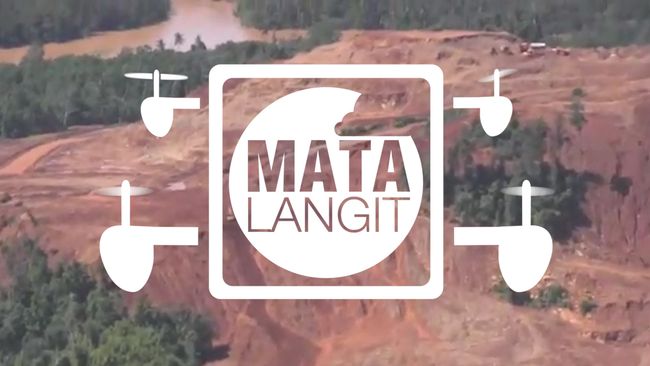 Dilihat dari Udara, Begini Penampakan Rusaknya Hutan di Sultra